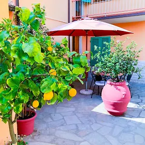 Cuore Di Nozzano Castello Lucques